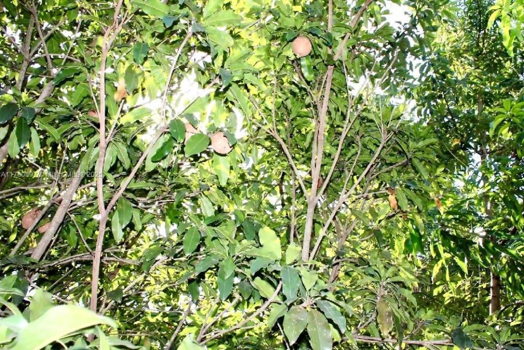 31050 SW 193rd Ave, Homestead, FL 33030 Photo