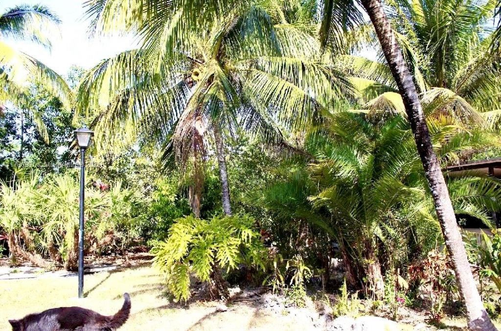 31050 SW 193rd Ave, Homestead, FL 33030 Photo