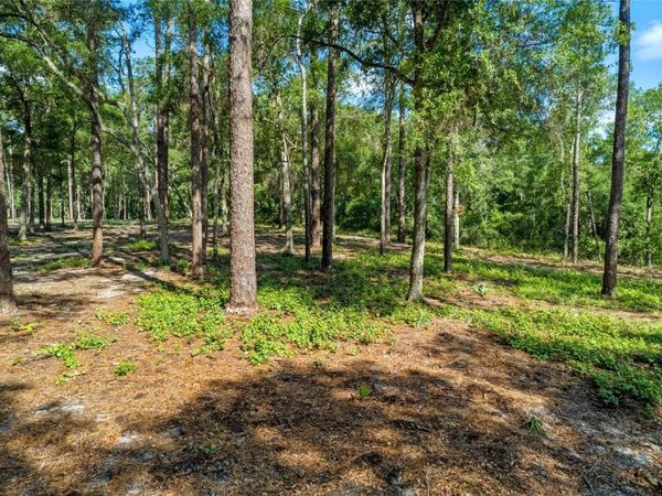 29901 STATE ROAD 44, EUSTIS, FL 32736