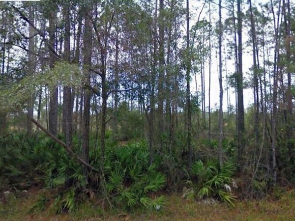 NE 65TH AVENUE, CITRA, FL 32113