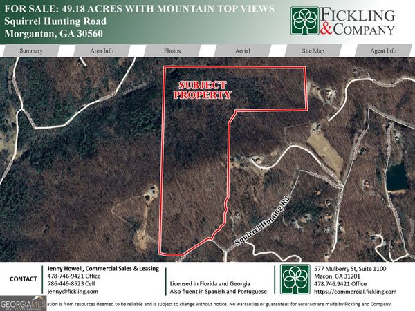 0 Squirrel Hunting Road, Morganton, GA 30560