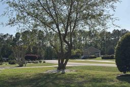 911 Shaftesbury Ln. photo 4