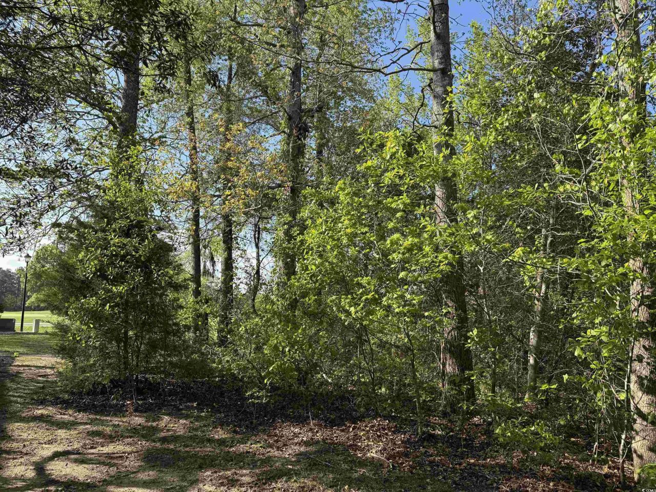 911 Shaftesbury Ln. Photo 4