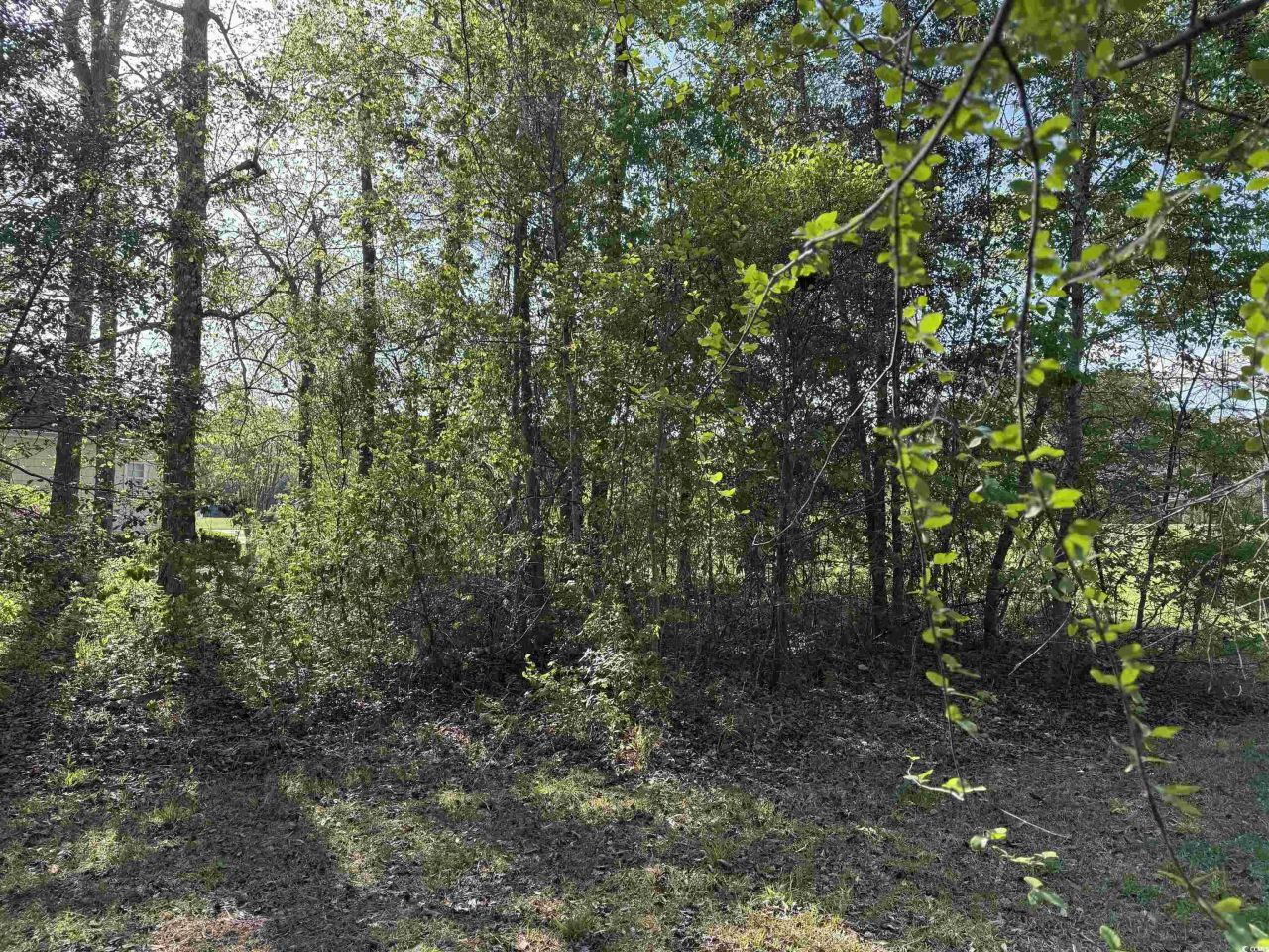 911 Shaftesbury Ln. Photo 5