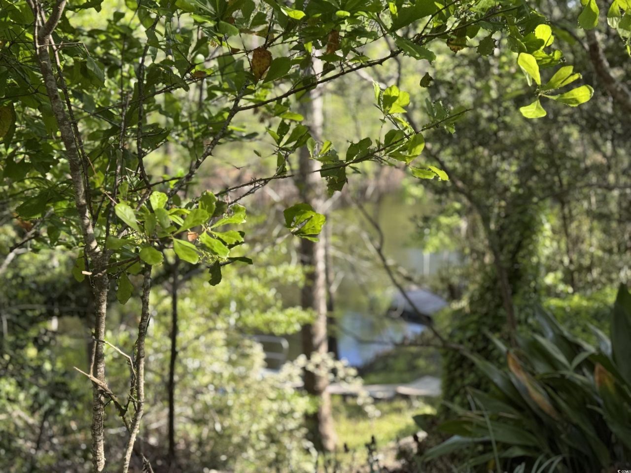 911 Shaftesbury Ln. Photo 6