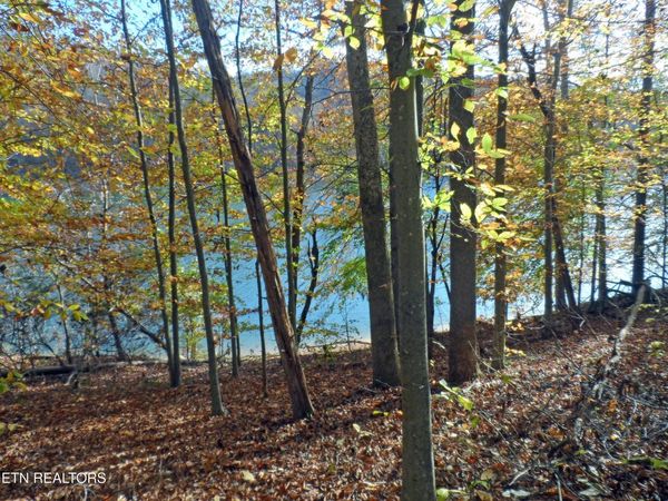 Lot 348 Lick Branch Rd, New Tazewell, TN 37825