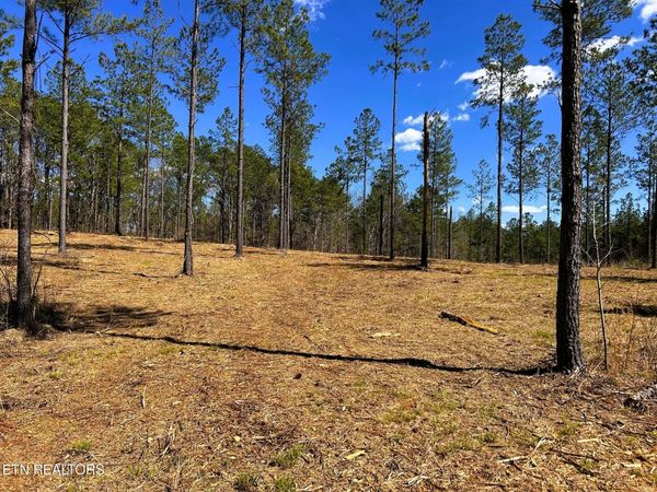 Tract 26B Hughes Lake Road SE , Cleveland, TN 37323