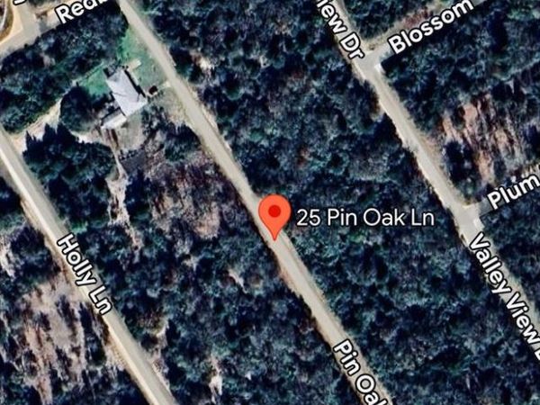25 Pin Oak Lane, Normangee, TX 77871