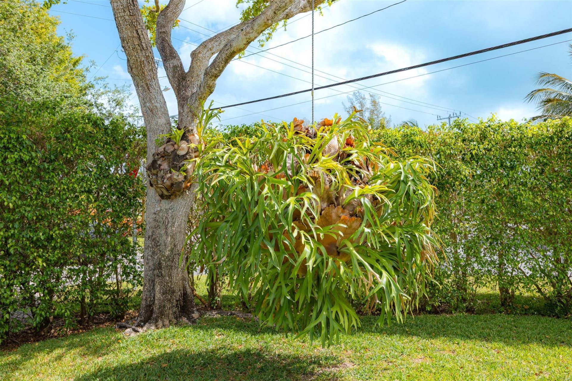 1924 NE 18th Street, Fort Lauderdale, FL 33305 Photo