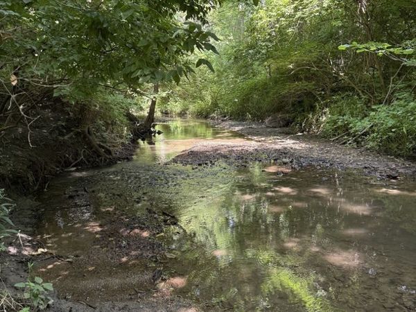 LOT 63 and 78 Cobble Creek Lane, Heyworth, IL 61745