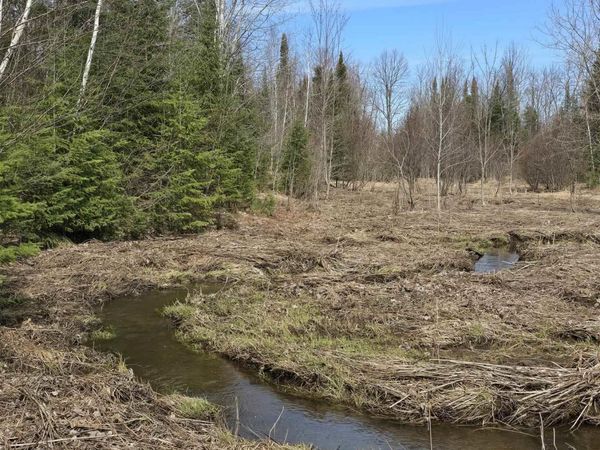 TBD Woodspur Road, Ontonagon Twp, MI 49953