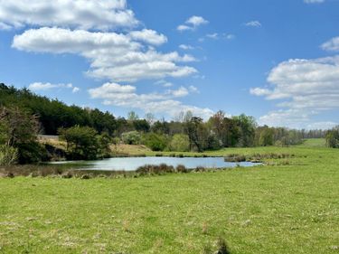 428 Dick Wilson Road, Strunk, KY 42649