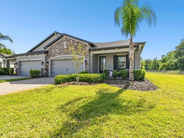 19325 HAWK VALLEY DRIVE, TAMPA, FL 33647