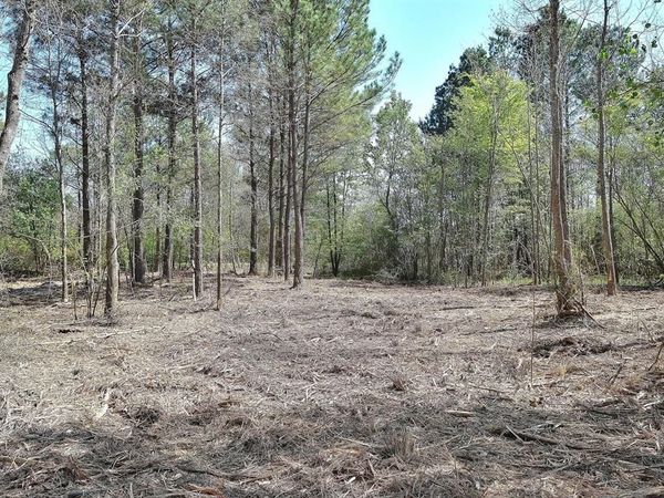 0 Collins Road, Nash, TX 75569