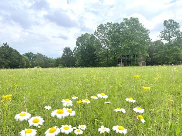 0 Manus Rd, Murfreesboro, TN 37127