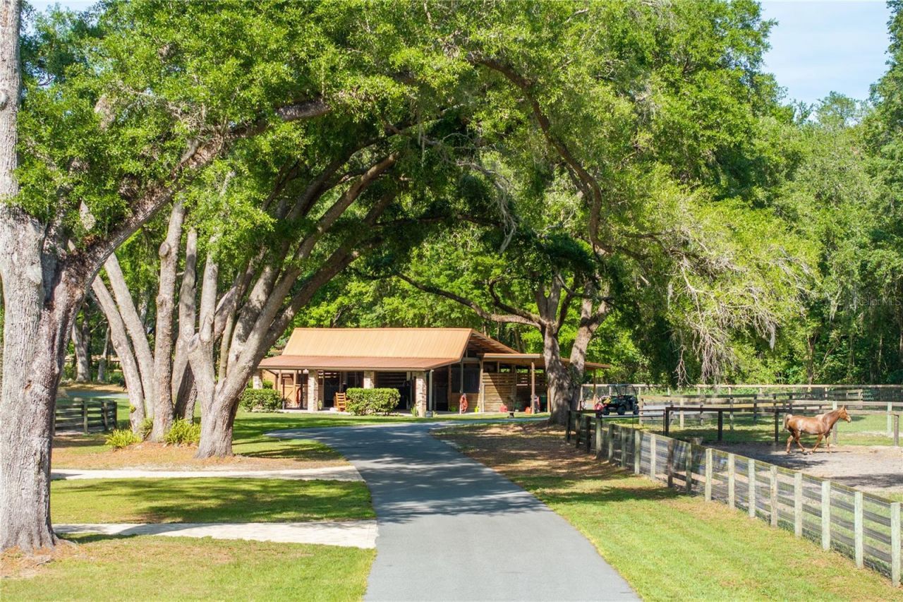 10925 SW 16th Avenue, Ocala, FL 34476 Photo