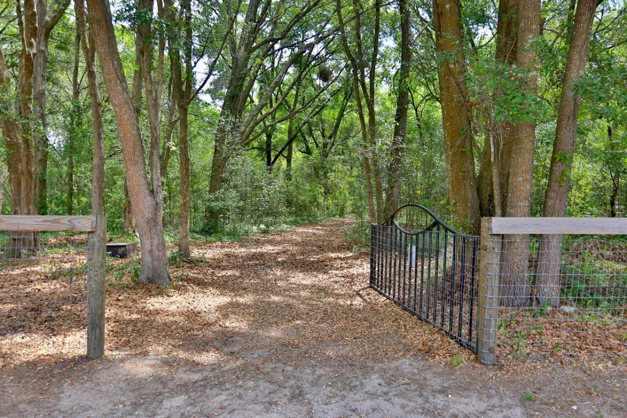 10925 SW 16th Avenue, Ocala, FL 34476 Photo