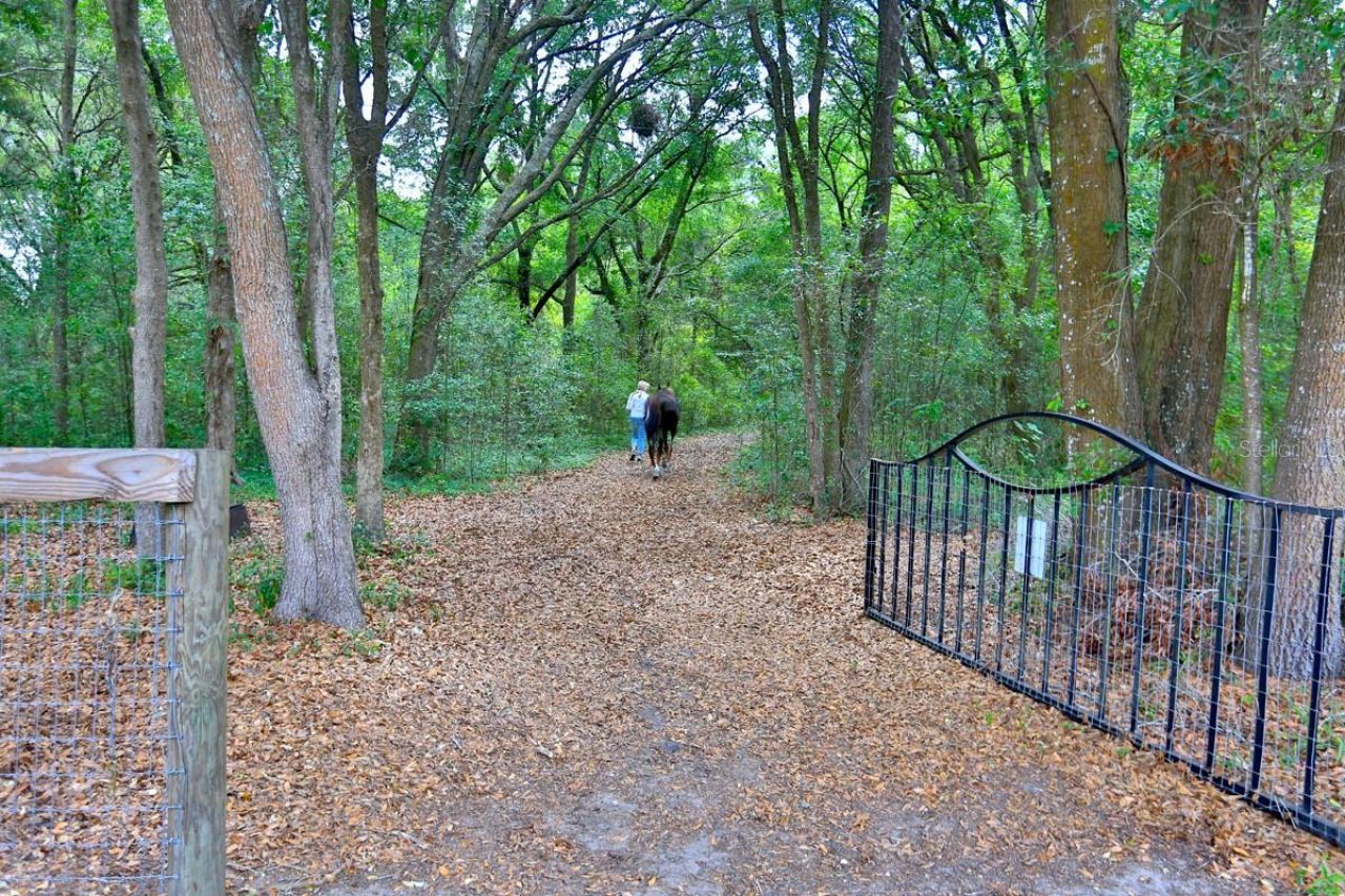 10925 SW 16th Avenue, Ocala, FL 34476 Photo