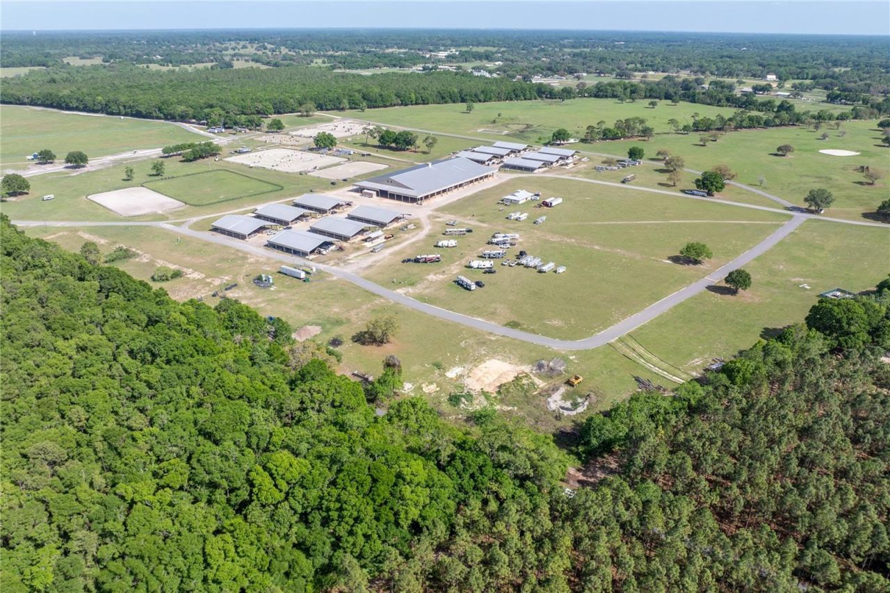 10925 SW 16th Avenue, Ocala, FL 34476 Photo