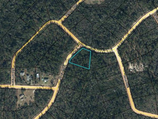 Lot 8 Cleveland Drive, Alford, FL 32420