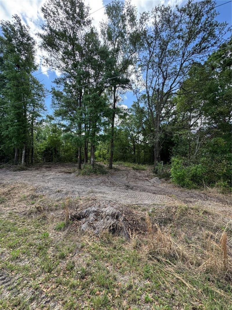 Nw 4th Street, Ocala, FL 34482 Photo