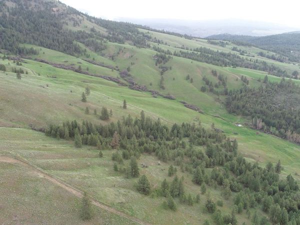 XXX Egypt Loop Rd. E., Davenport, WA 99122