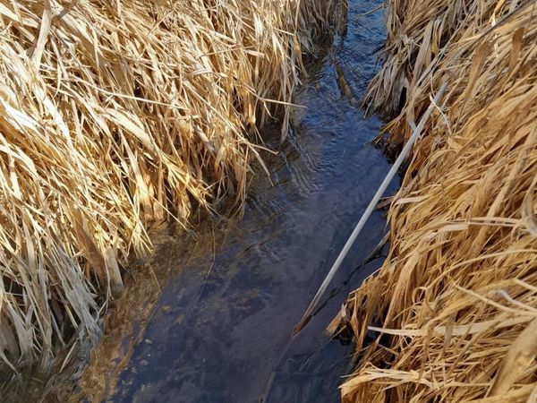 Approx 9 acres Highway 35/61, Bloomington, WI 53804