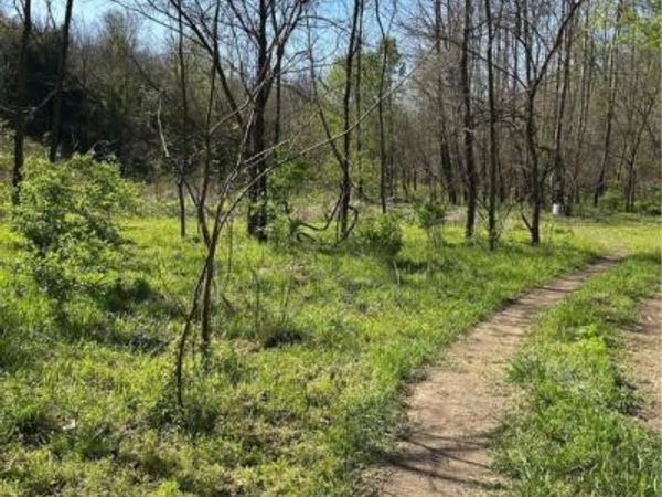 AR Hwy 264, Lowell, AR 72745