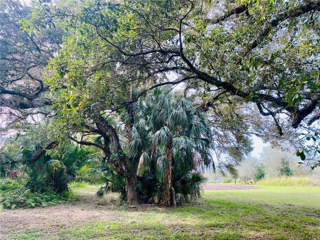 3771 Cr-78, Labelle, FL 33935 Photo