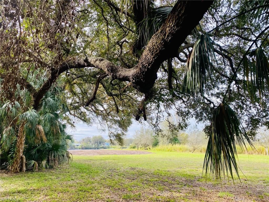 3771 Cr-78, Labelle, FL 33935 Photo