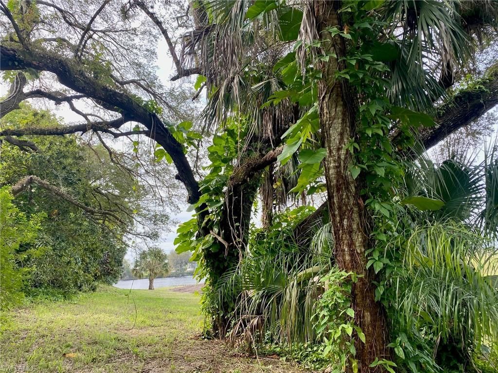 3771 Cr-78, Labelle, FL 33935 Photo