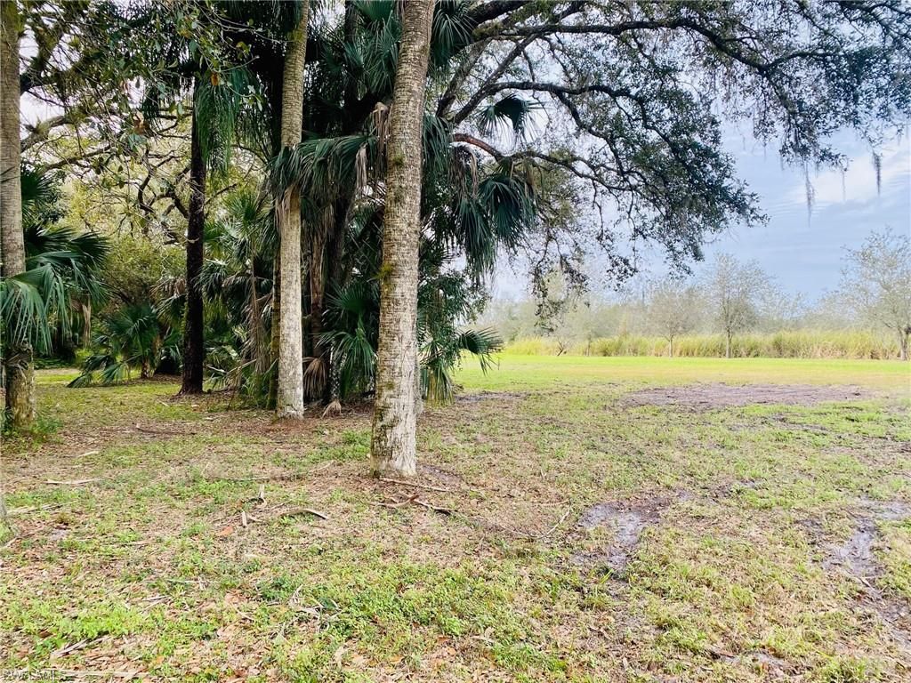 3771 Cr-78, Labelle, FL 33935 Photo