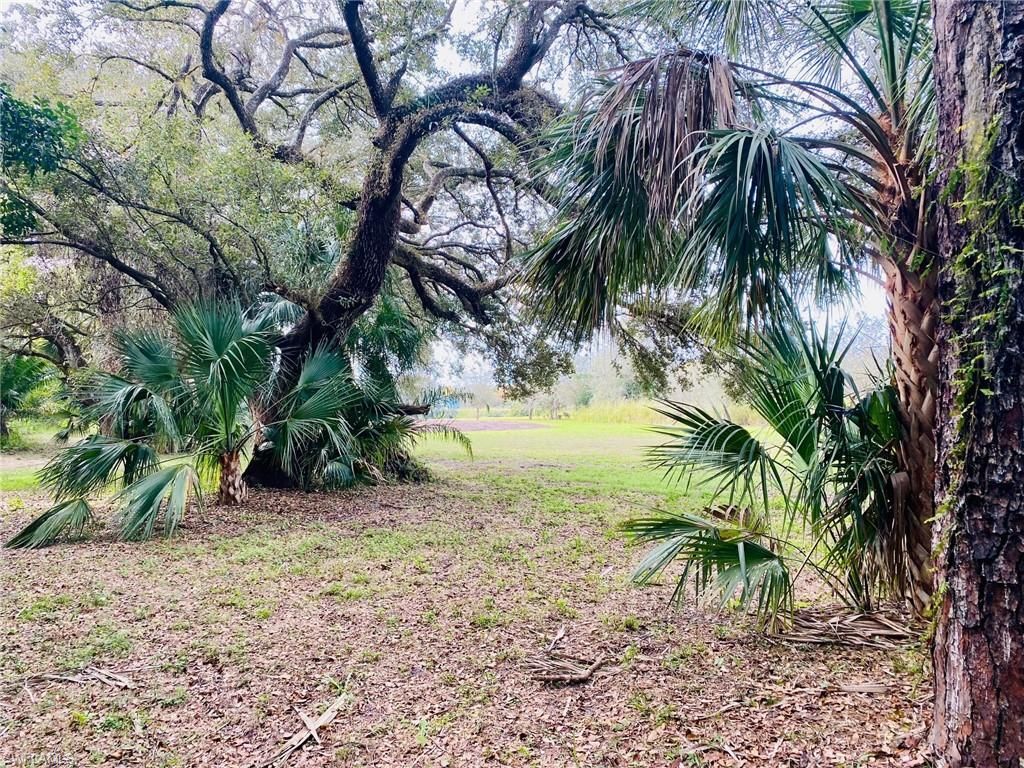 3771 Cr-78, Labelle, FL 33935 Photo