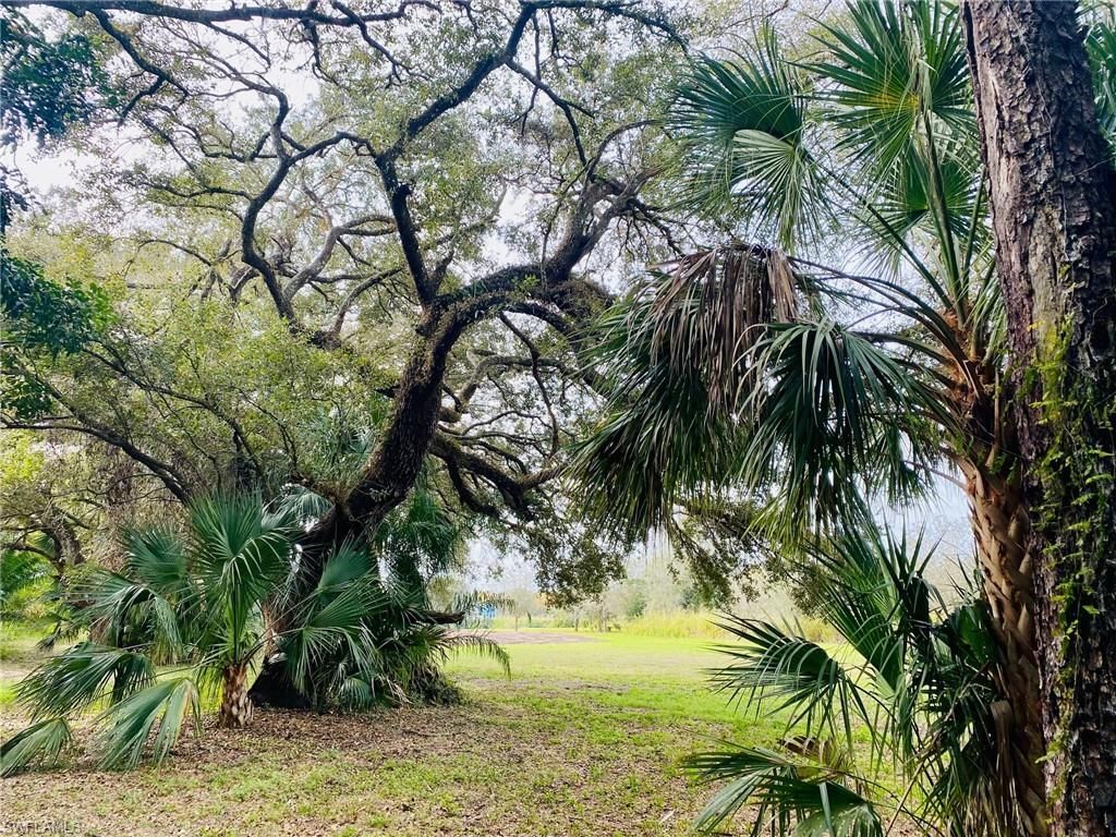 3771 Cr-78, Labelle, FL 33935 Photo