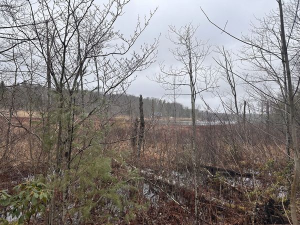 15B-7 E Otis, Otis, MA 01253