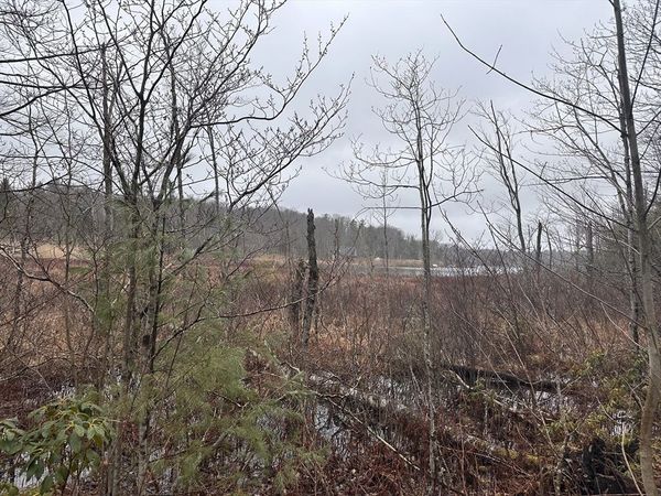 15B-7 E Otis, Otis, MA 01253