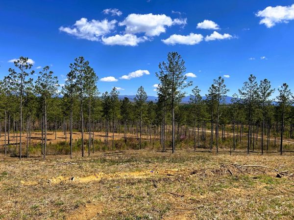 Tract 26a Hughes Lake Road Se, Cleveland, TN 37323