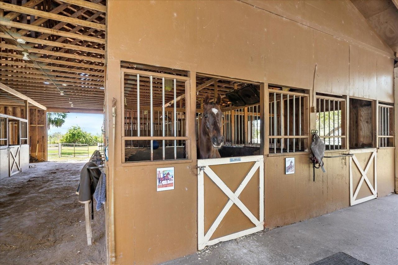 8200 Ibis Street, Sarasota, FL 34241 Photo