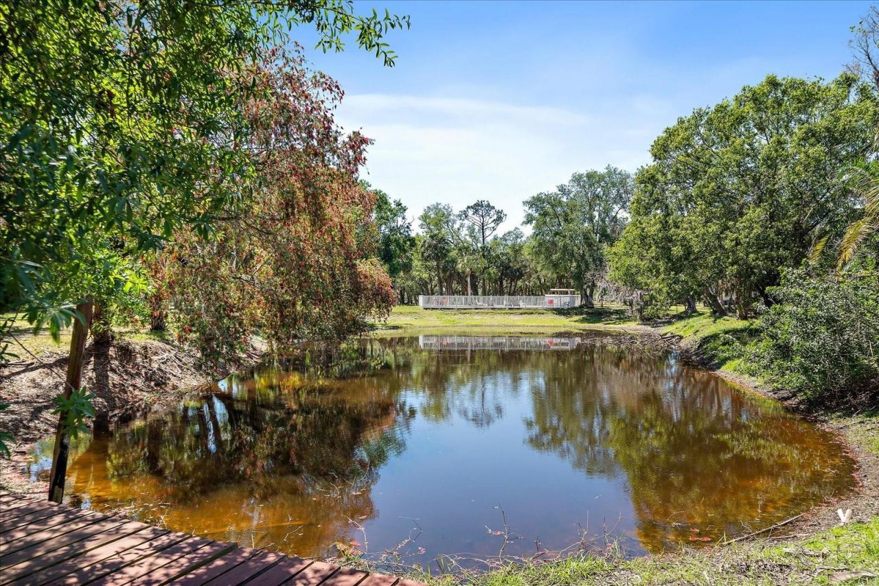 8280 Ibis Street, Sarasota, FL 34241 Photo