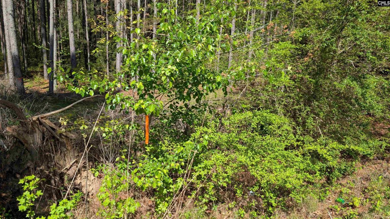 Tbd Boyd Road Photo 11