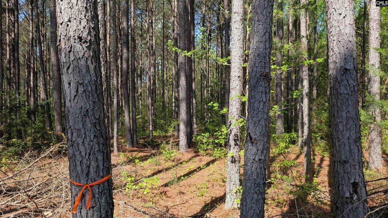 Tbd Boyd Road Photo 12