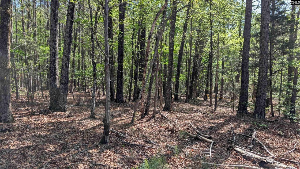 Tbd Boyd Road Photo 14