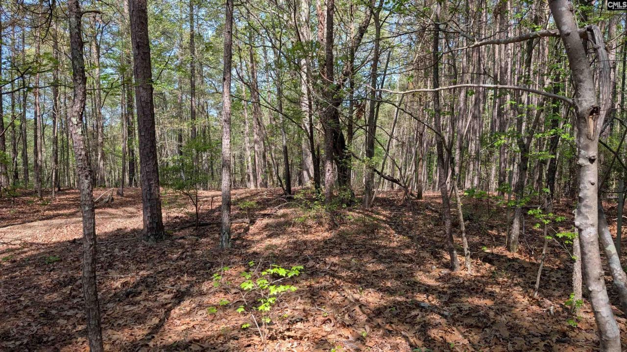 Tbd Boyd Road Photo 15