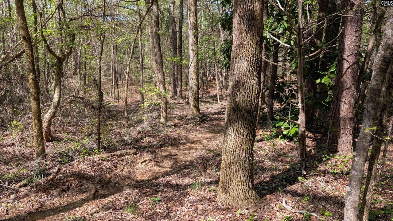 Tbd Boyd Road Photo 16