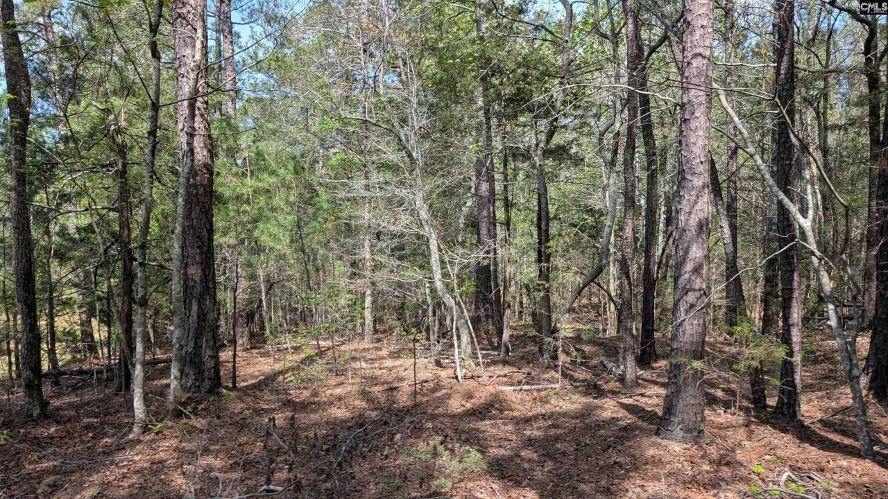 Tbd Boyd Road Photo 17