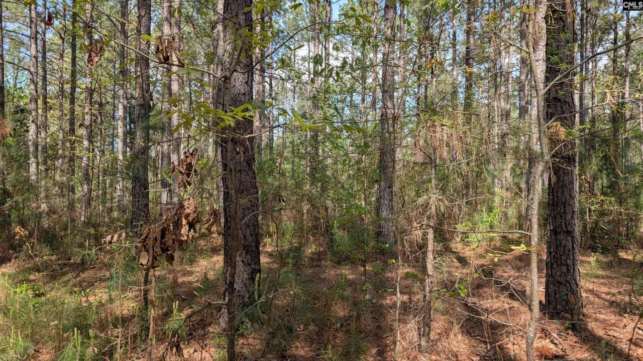 Tbd Boyd Road Photo 18