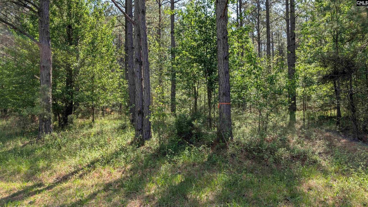 Tbd Boyd Road Photo 19