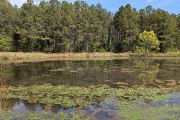 Tbd Boyd Road photo 4