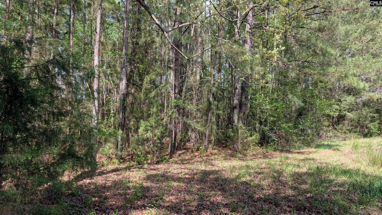 Tbd Boyd Road Photo 20