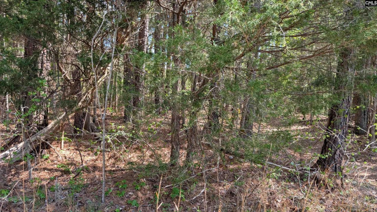 Tbd Boyd Road Photo 24